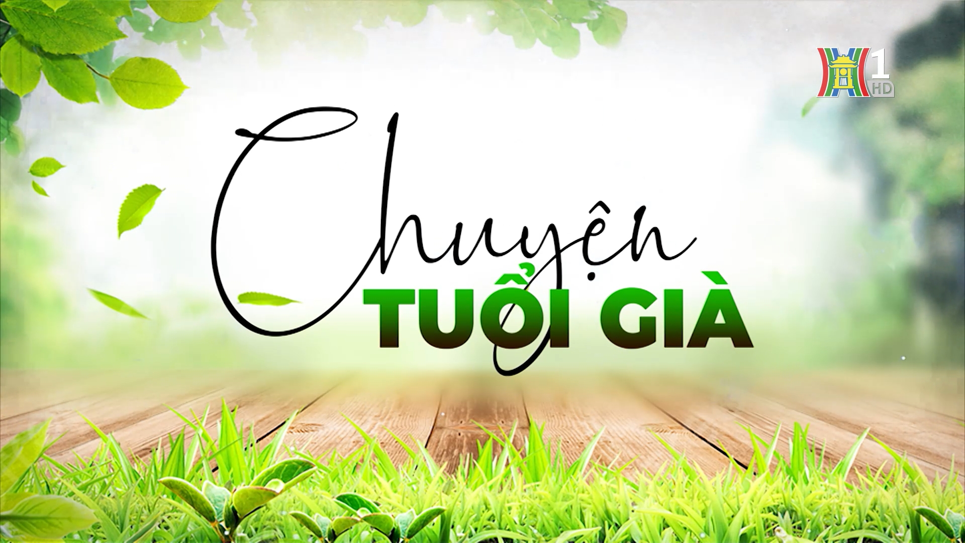 Tuổi già vui khỏe từ khiêu vũ | Chuyện tuổi già | 10/06/2025